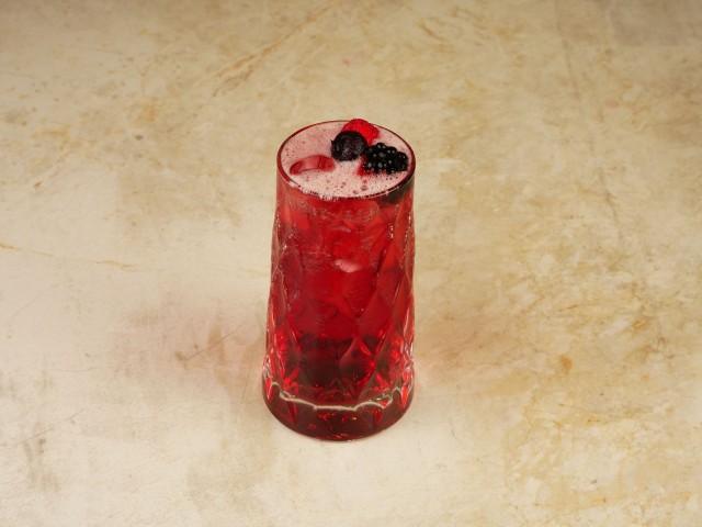 HIBISCUS BERRY